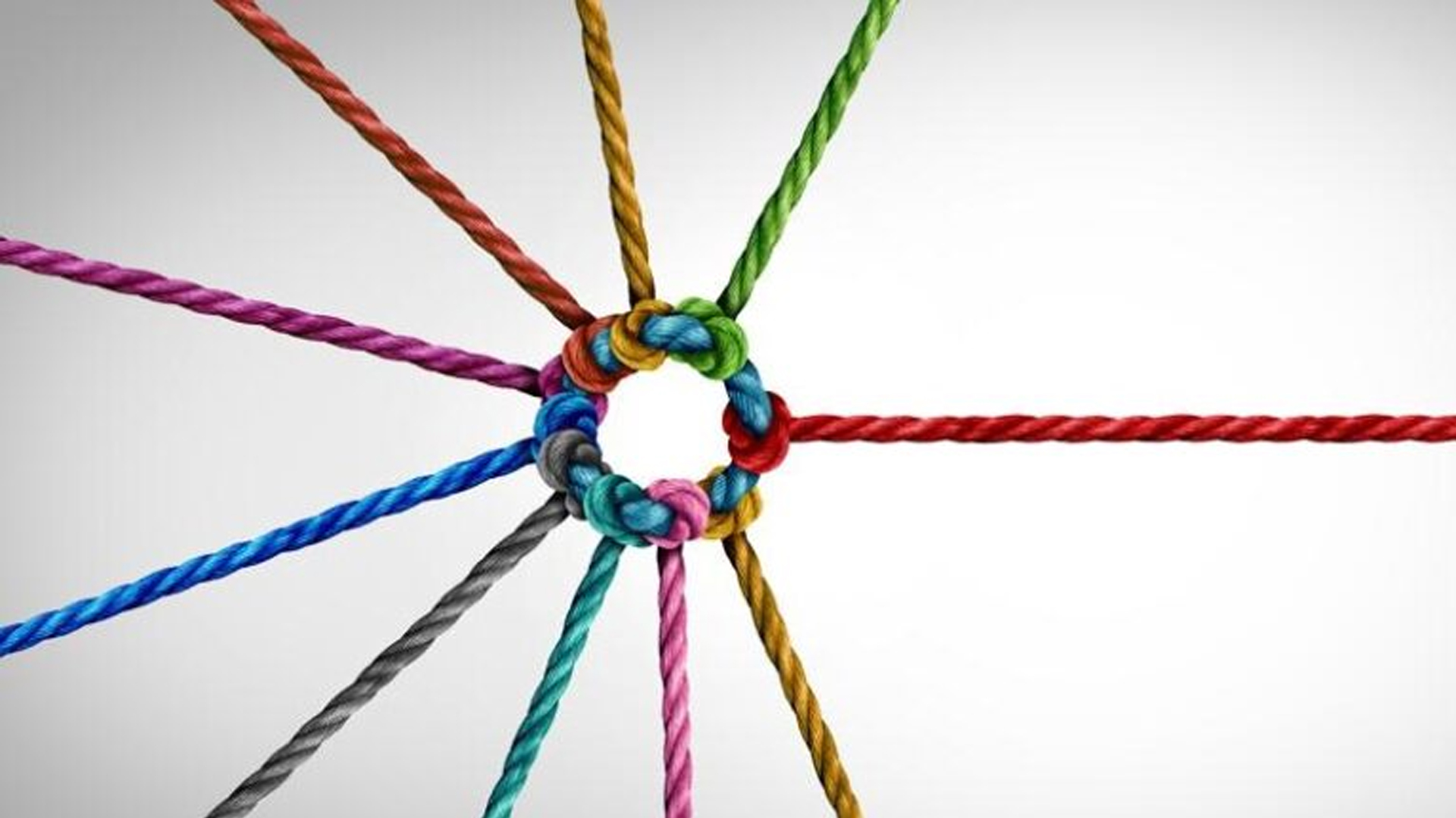 مدیریت تنوع